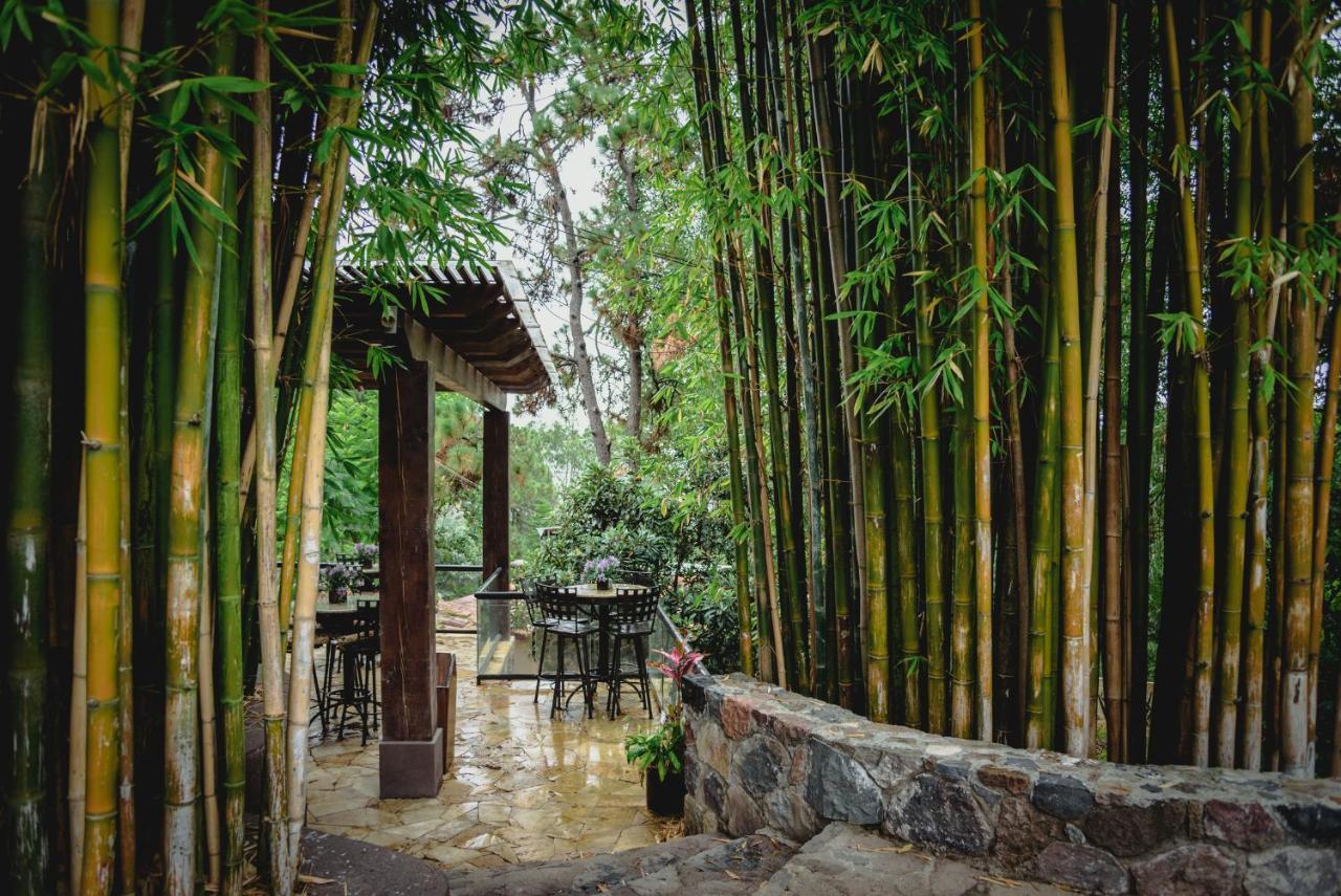 蓝莲花水疗酒店 巴耶德布拉沃 外观 照片